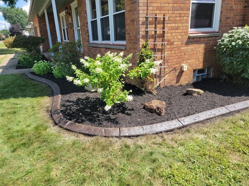Decorative Edging Image