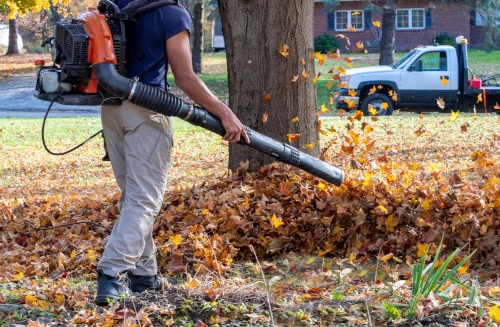 Fall cleanup services