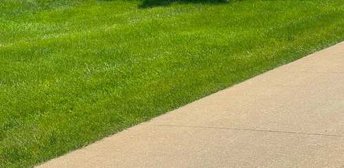 Mowing Image